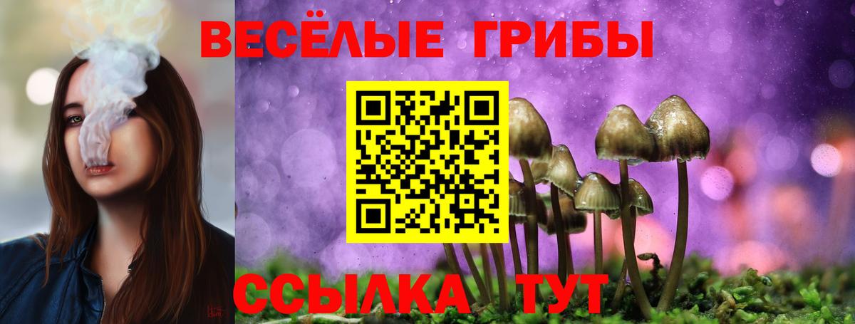 Галлюциногенные грибы ЛСД Шебекино