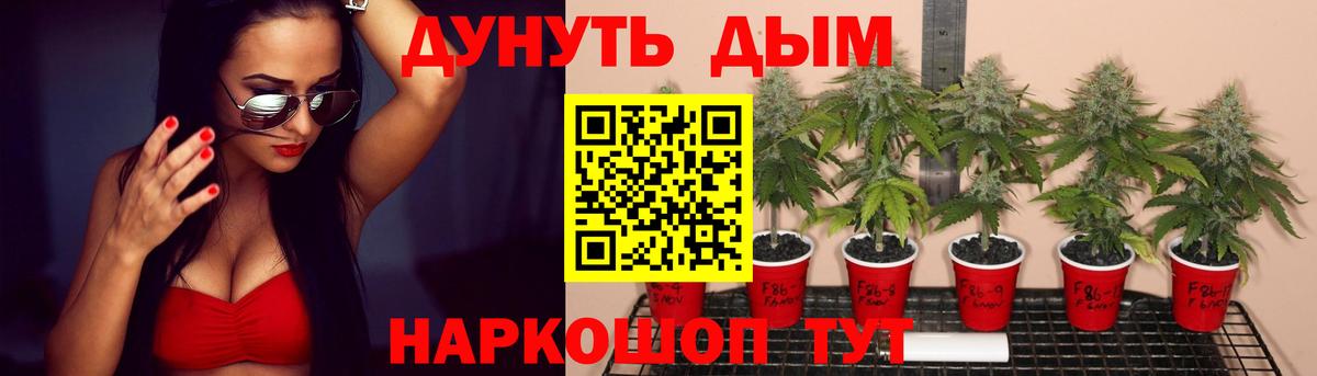 Марихуана гибрид Шебекино